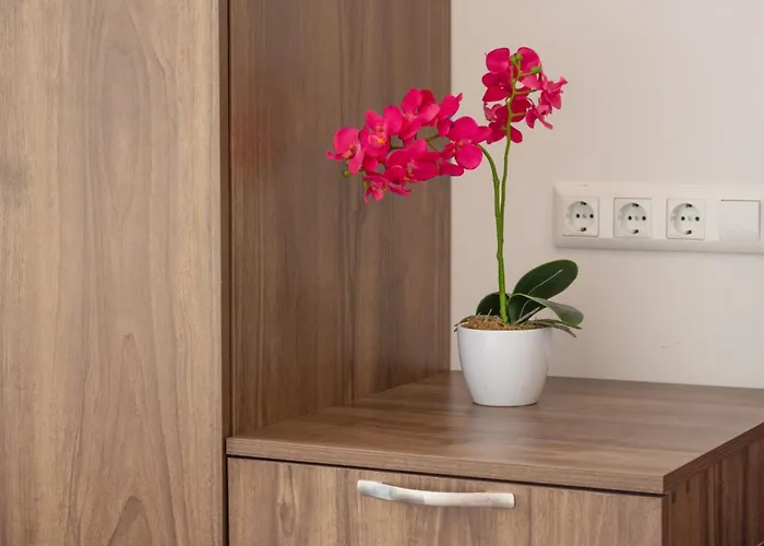 Hostel - 24h Self-check-in